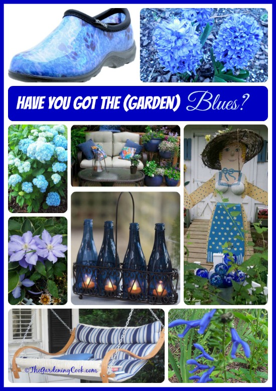 Have you got the (garden) blues this year?