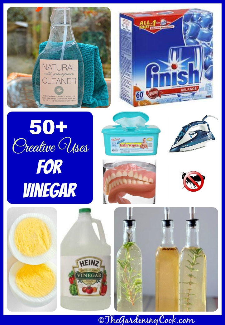 50+ Creative, reader tested vinegar uses