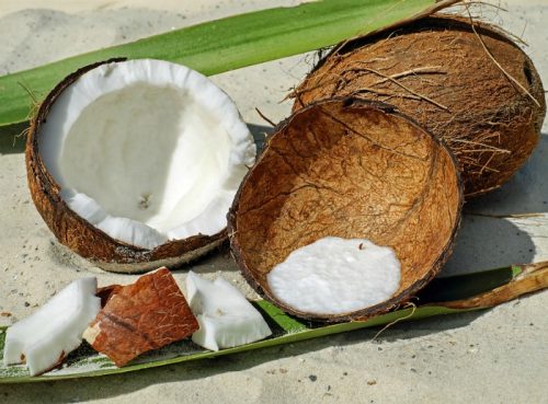 Storing Fresh Coconut - How to Purchase, Open and Use Coconut Meat