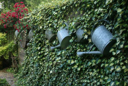 Using watering cans on a hedge as garden art