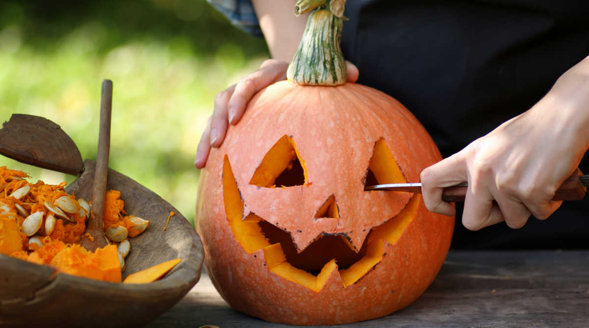 Best Pumpkins for Carving - Tips for Picking the Perfect Pumpkin