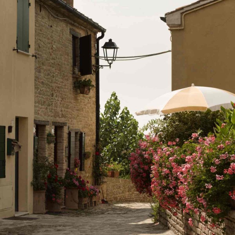 Courtyard with flowers and umbrella.