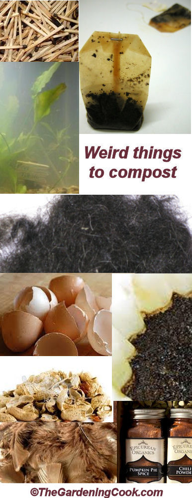 Unusual compost items that you may not have thought of adding to the compost pile.
