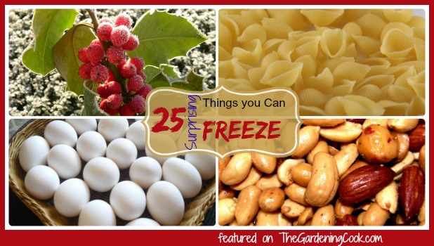25 Surprising things you can freeze