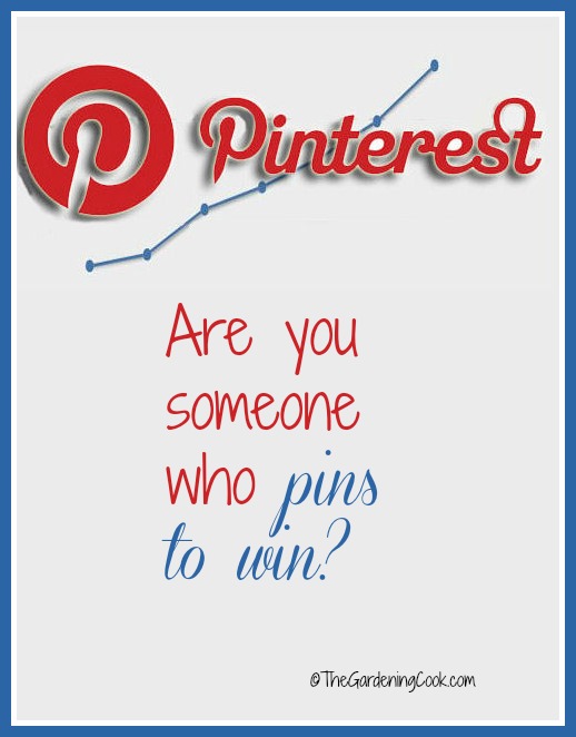 Are you someone who pins to win on Pinterest.