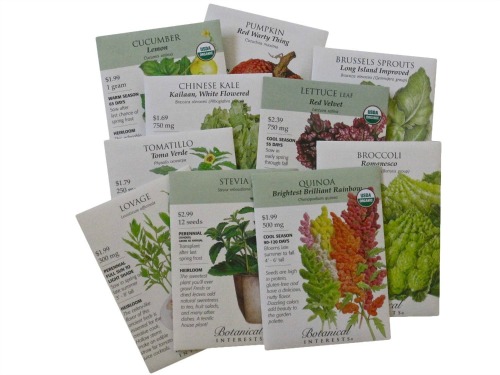 Seed packet in a gift box