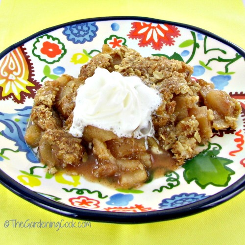 gluten free apple crumble with whipped cream