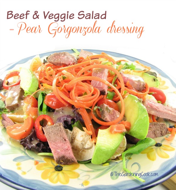 Beef Veggie Salad with Pear Gorgonzoila dressing