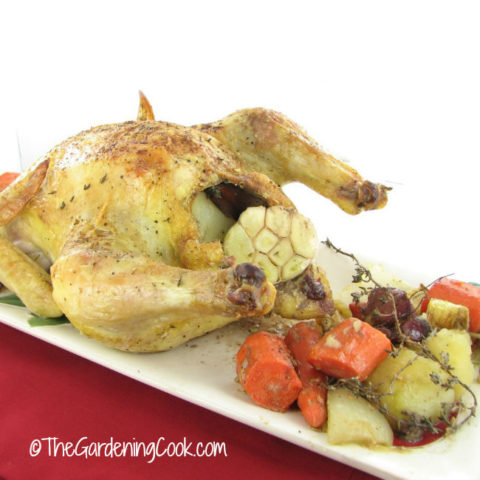 Roast chicken and vegetables on a white plate.
