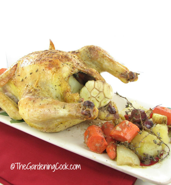 Roast chicken and vegetables on a white plate.