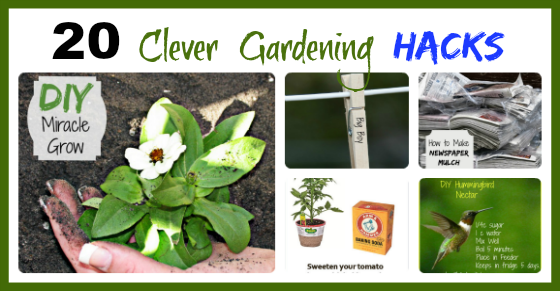 Gardening Hacks - 20 Clever Ideas to Make Light of Your Garden Chores