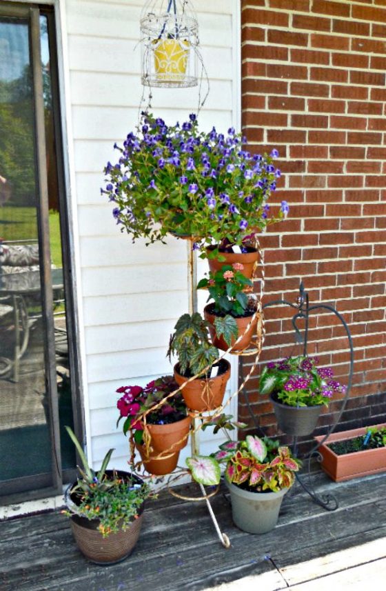 Vegetable Garden on a Deck Tips for Growing Vegetables on a Patio