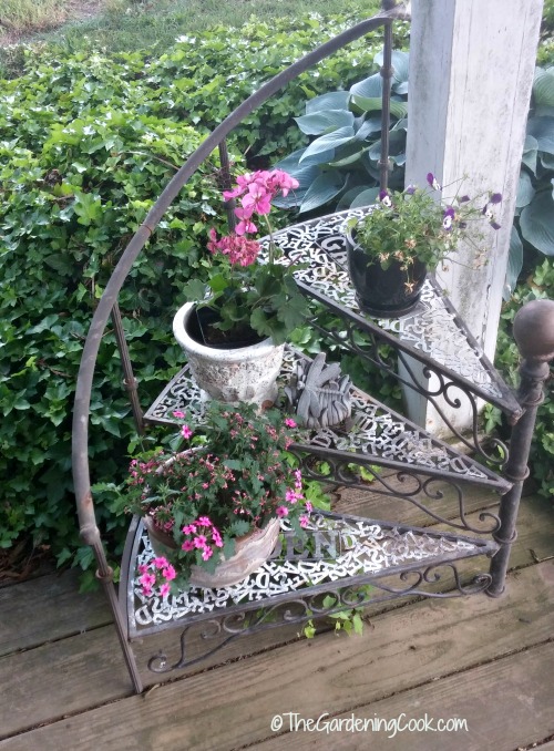 circular stair case plant stand