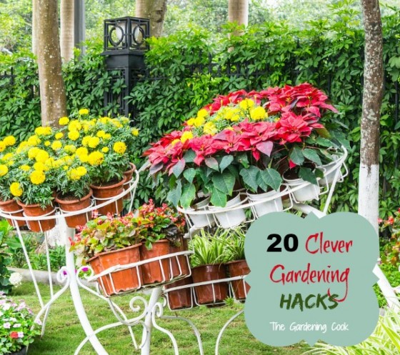 Gardening Hacks - 20 Clever Ideas to Make Light of Your Garden Chores