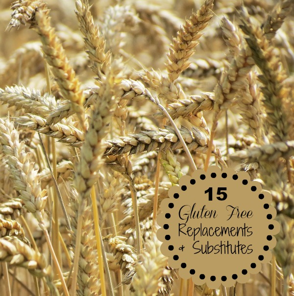 15 Gluten Free Replacement and Substitutes