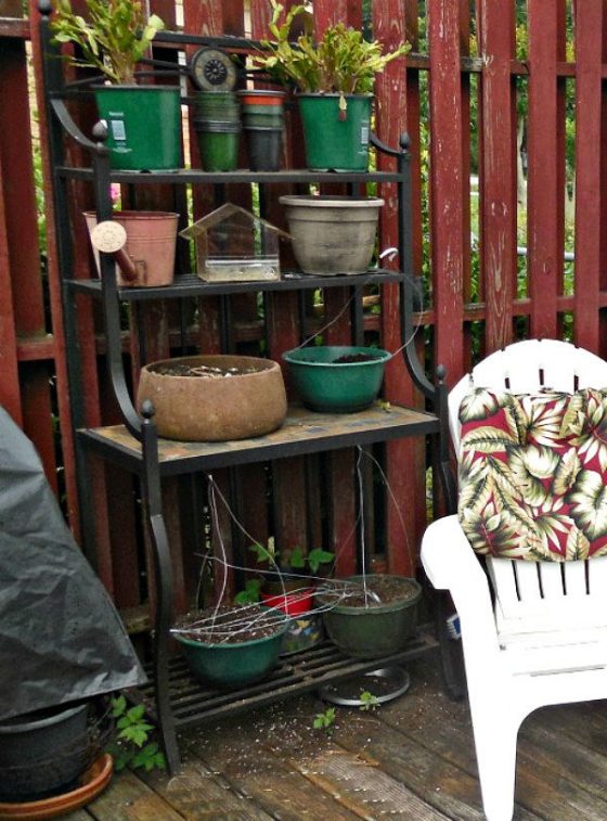 Vegetable Garden on a Deck Tips for Growing Vegetables on a Patio