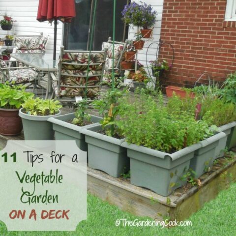 11+ tips for growing a vegetable garden on a deck with containers and planters.