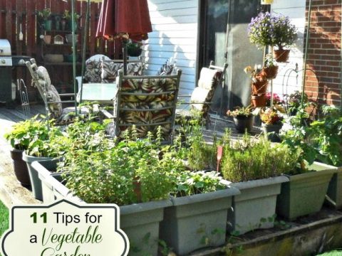 Vegetable Garden On A Deck Tips For Growing Vegetables Patio - Garden On The Wall Llc