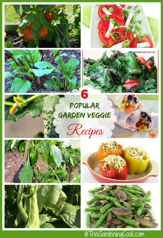 tomatoes, Swiss Chad, cucumbers, peppers, beans an text reading 6 Popular Garden Veggie Recipes