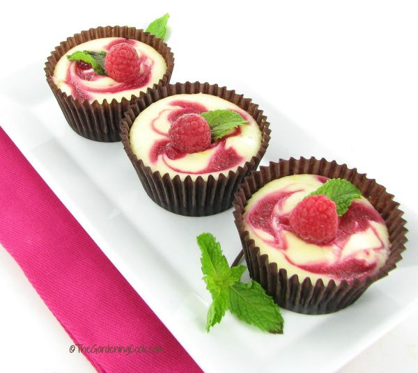 Chocolate raspberry swirled mini cheesecakes