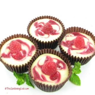 chocolate raspberry swirled mini cheesecakes