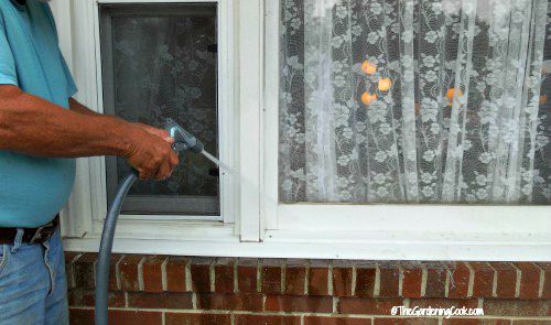 Man washing windows with a hose nozzle.