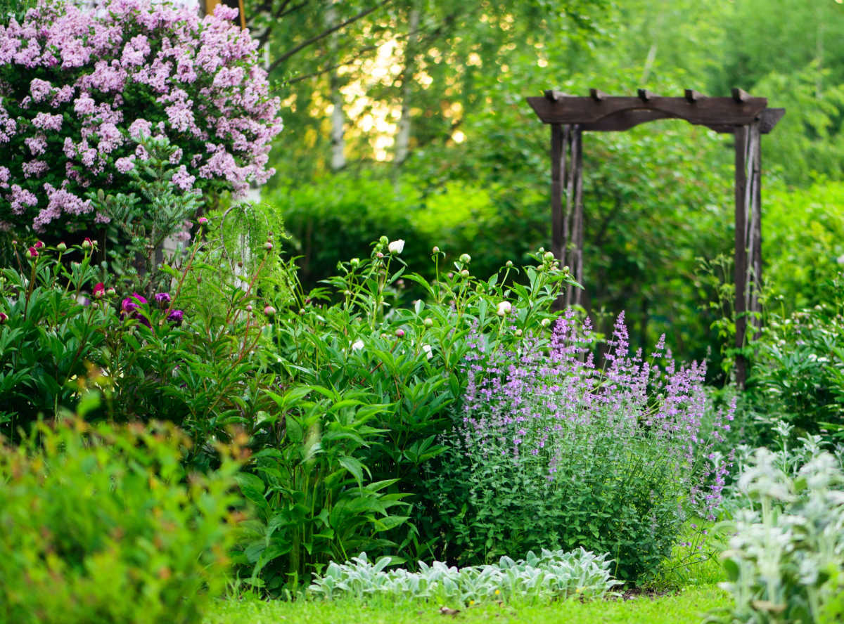 A pretty cottage garden with an arbor in the background.