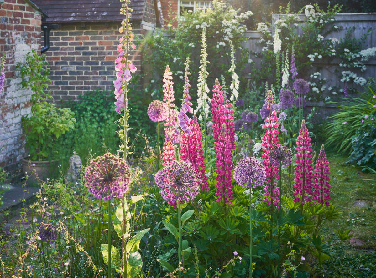 Flowers of various heights in front of an English cottage.