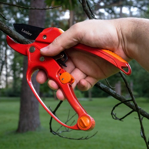 Ratcheting pruners can cut up to 1" branches