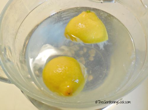 lemons and juice in water