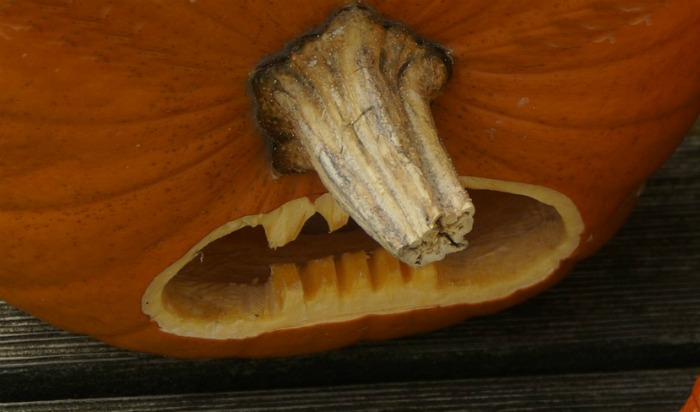 Pumpkin Carving Tips - Carve a Pumpkin Easily with these Tricks