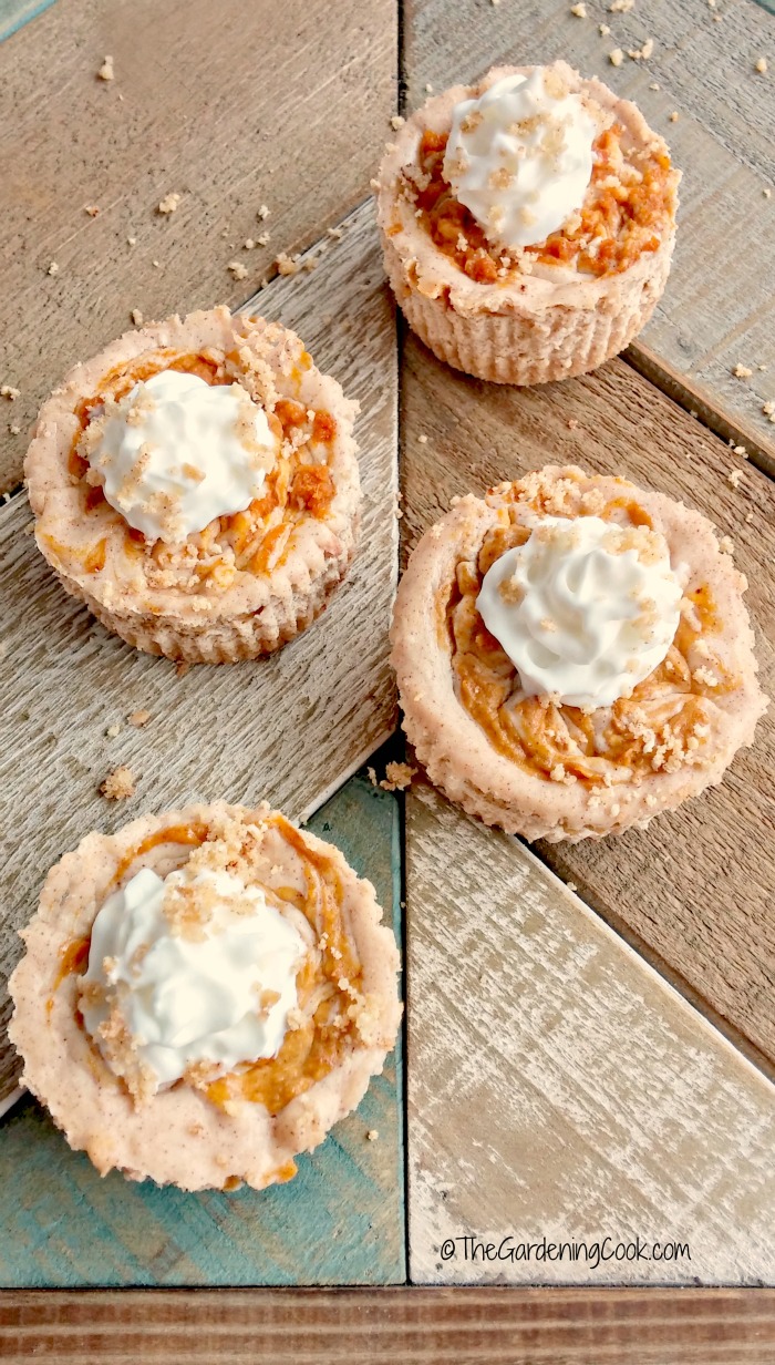 These pumpkin swirl mini cheesecakes are the perfect size for your Thanksgiving guests. They are a delicious blend of cream cheese, pumpkin puree and seasonal spices. thegardeningcook.com