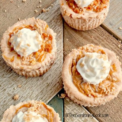 These pumpkin swirl mini cheesecakes are the perfect size for your Thanksgiving guests. They are a delicious blend of cream cheese, pumpkin puree and seasonal spices. thegardeningcook.com