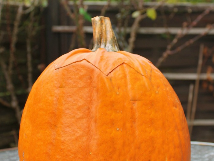 Pumpkin with a cut top