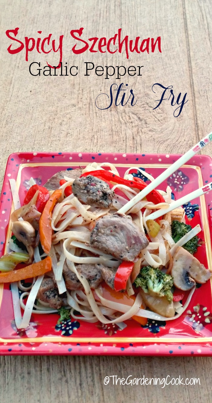 Noodle and pork dish with vegetables on a red plate and words reading Spicy Szechuan garlic pepper stir fry.