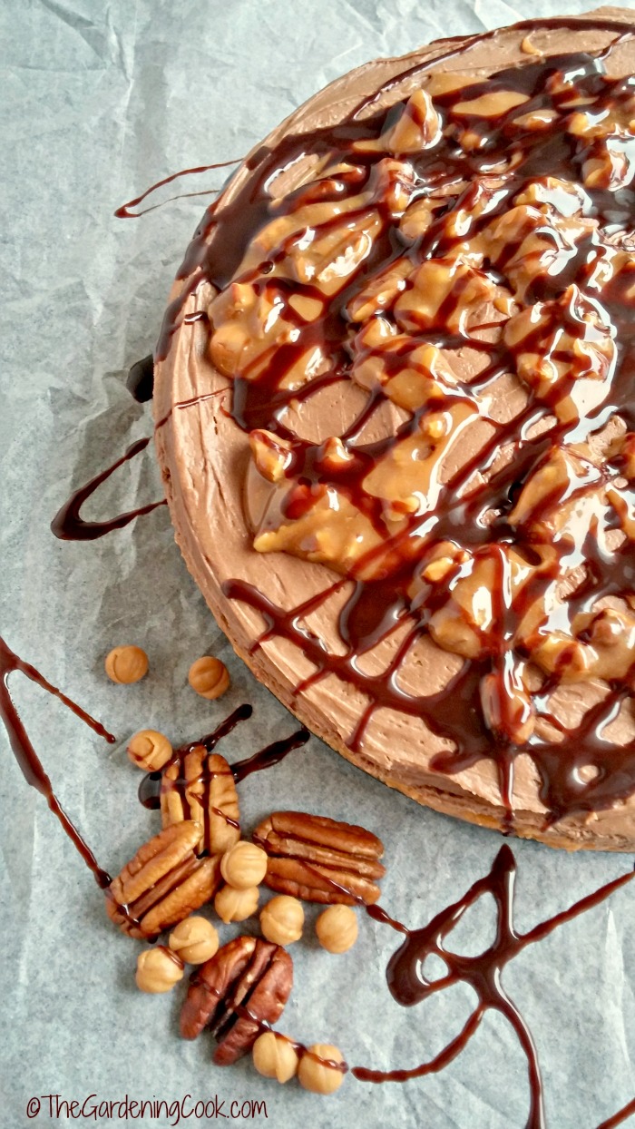 Chocolate turtle cheese cake with butterscotch morsels and pecans.