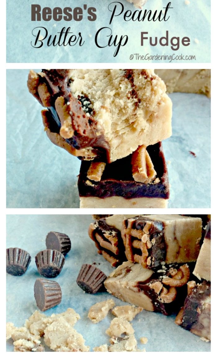 This Reese's peanut butter fudge recipe is OMG delicious and so easy to make. When I say it is fool proof, I really do mean it. thegardeningcook.com