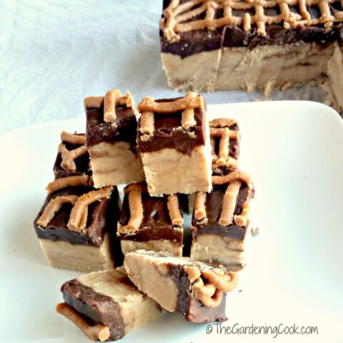 Several pieces of Reese's peanut butter cup fudge with a peanut butter drizzle on a white plate.
