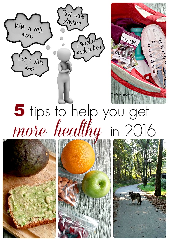 gym bag, avocado sandwich, fruit nuts and dog walking collage with words reading 5 Tips to Get More healthy in 2016.
