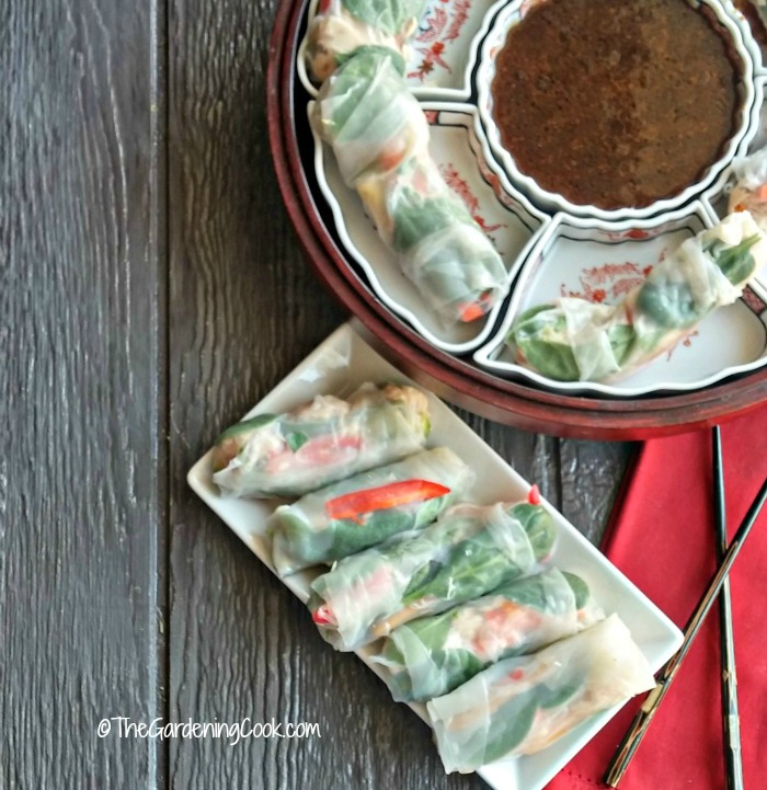 Albacore tuna rice paper spring rolls