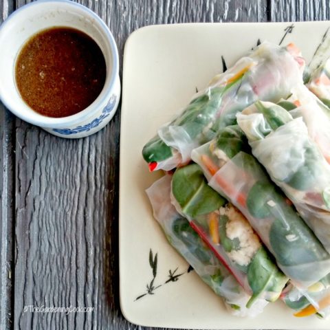Albacore tuna rice paper spring rolls and Asian dipping sauce