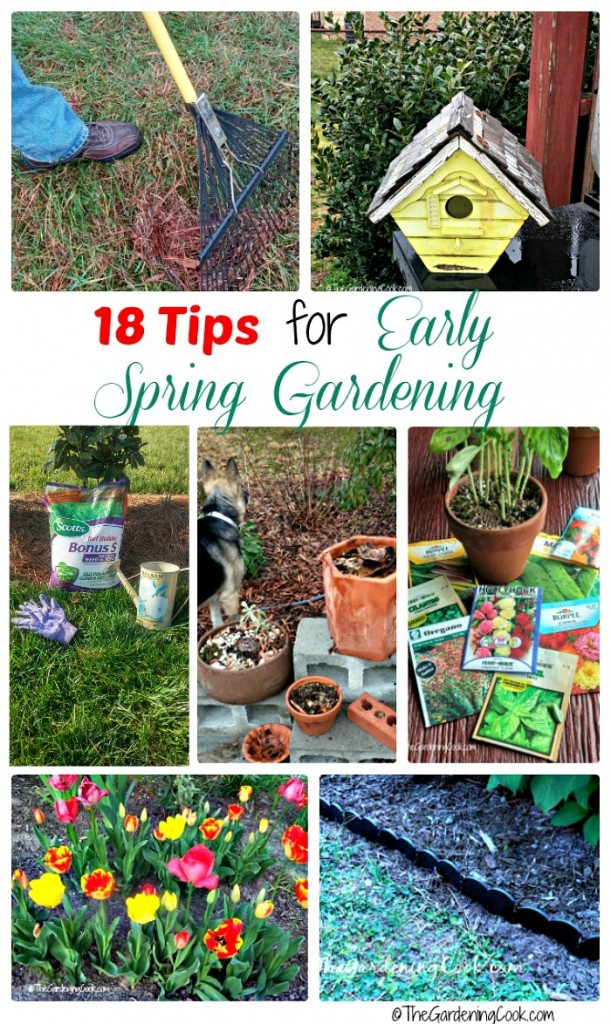 Early Spring Garden Projects