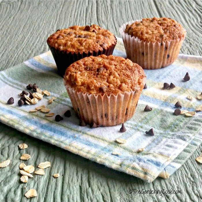 chocolate chip oatmeal muffins