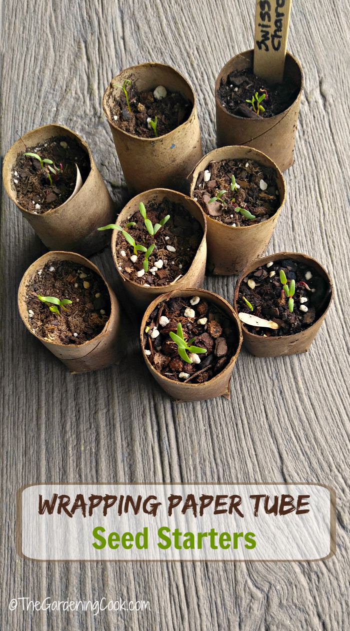 Eco-friendly, biodegradable seed starting pots.