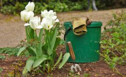 25 Spring Garden Tips & Checklist - Get Your Garden Ready for Spring