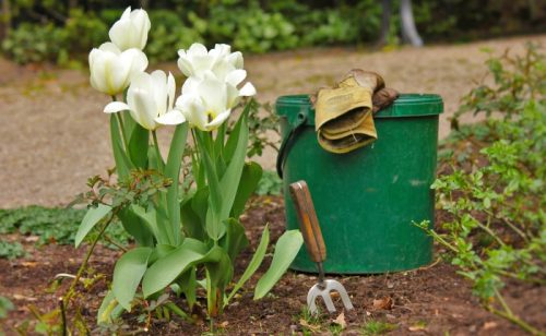 25 Spring Garden Tips & Checklist - Get Your Garden Ready for Spring