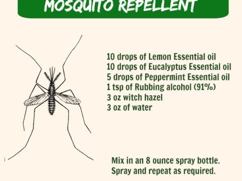 Homemade Mosquito Repellent Essential Oil Mosquito Repellent Spray,Gray Grasscloth Peel And Stick Wallpaper
