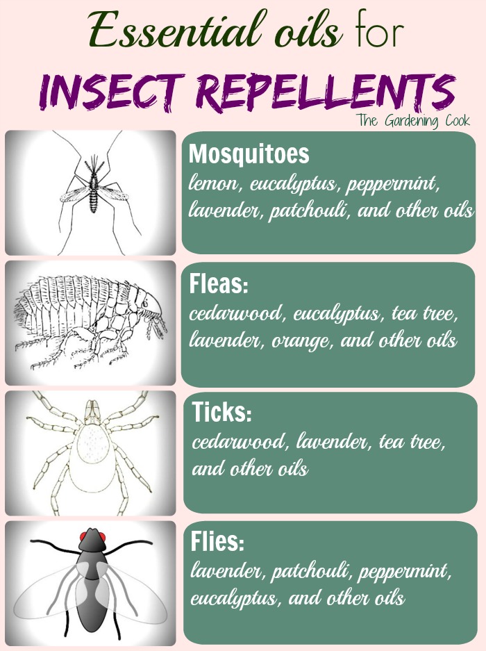 Essential oils for a homemade bug repellent