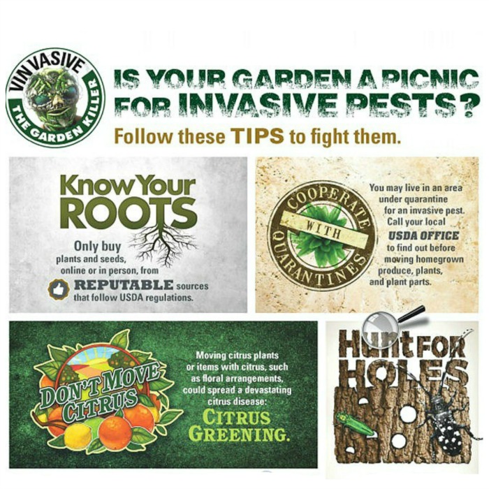 Do your share to help fight invasive pests