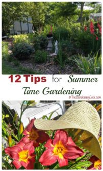 Summer Time Gardening Tips to Beat the Heat - The Gardening Cook